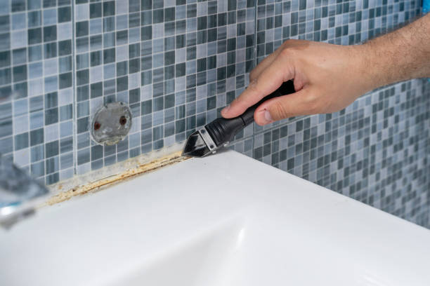 Best Certified Mold Removal  in Dalzell, SC