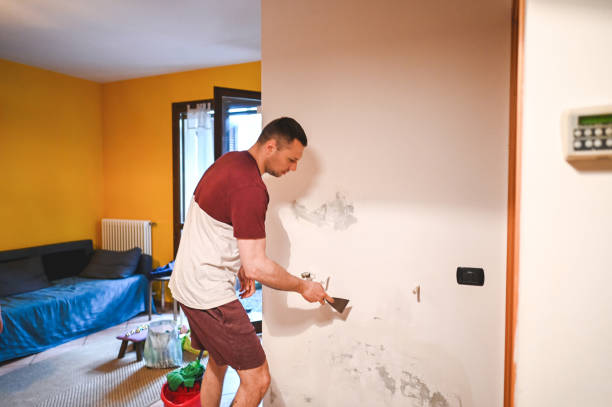 Home Mold Removal in Dalzell, SC